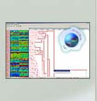 Analysis of Expression data