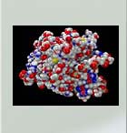 Analysis of protein functions